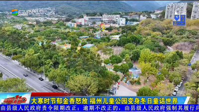 大寒时节郁金香怒放 福州儿童公园变身冬日童话世界