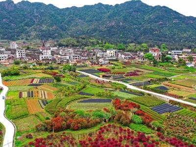 罗源为逾4万名老人统一投保意外险