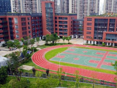 人大代表聚焦青少年成长 为青少年营造更加安全健康的发展环境