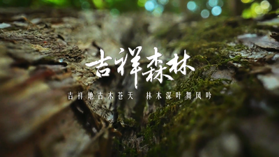 《吉祥森林——吉祥地古木苍天 林木深叶舞风吟》