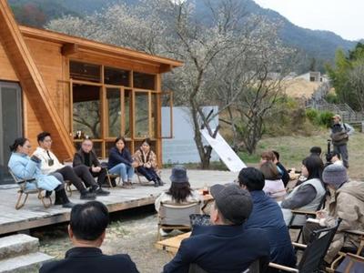 一棵青梅树的自述