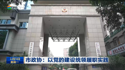 市政协：以党的建设统领履职实践