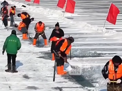 冰雪大世界对冰的要求有多高？采冰师傅每天16小时采集头茬冰！