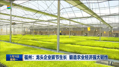 福州：龙头企业拔节生长 锻造农业经济强大韧性