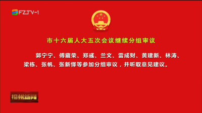 市十六届人大五次会议继续分组审议