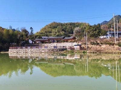 政协委员多维度建言乡村振兴