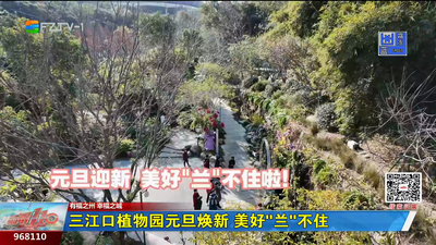 三江口植物园元旦焕新 美好“兰”不住