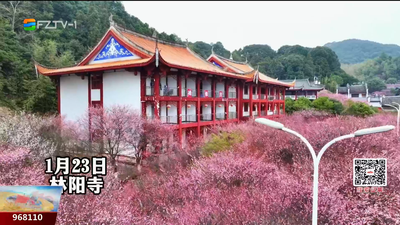 林阳寺：梅影禅香 邂逅千年浪漫