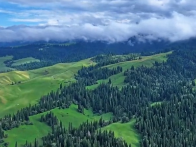 中国经济圆桌会丨坚持“双碳”引领 推动全面绿色转型 