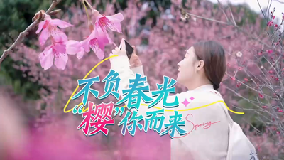 明媚春光里，一山樱花一山云，在春天的鼓岭，一起看一场浪漫山樱花吧~