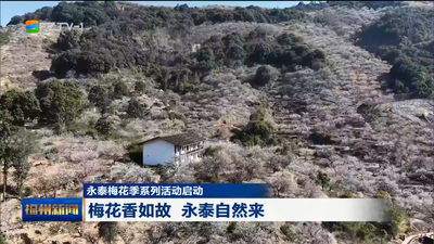 永泰梅花季系列活动启动 梅花香如故 永泰自然来