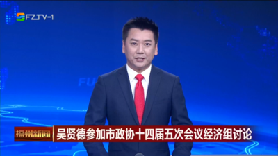 吴贤德参加市政协十四届五次会议经济组讨论