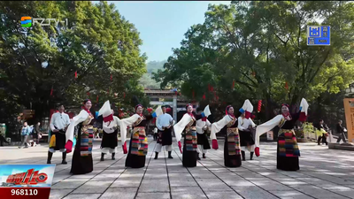 榕城舞韵 同享非遗“舞”林盛宴