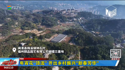 年宵花“顶流” 开出乡村振兴“新春芳华”