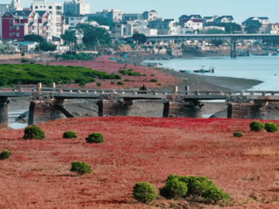 新华社关注福州福清：红滩映古桥