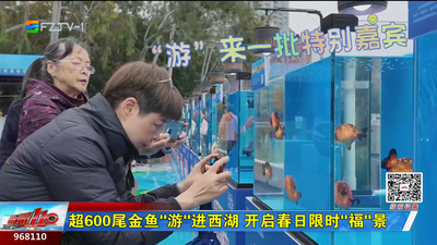 超600尾金鱼“游”进西湖 开启春日限时“福”景