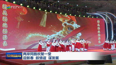 两岸同胞欢聚一堂 迎新春 叙情谊 谋发展