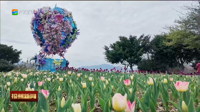 繁花似锦福满城 春风送暖贺新春