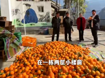 全国最后1个通公路的村现状：“我们的脐橙丰收了！
