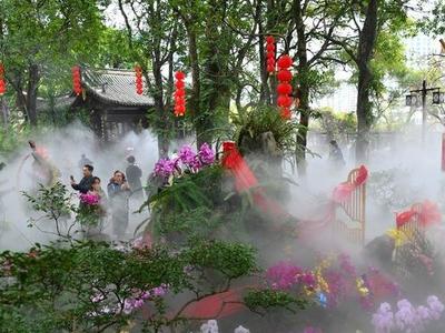 于山兰花展游客创新高