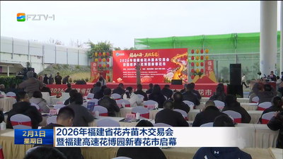 2026年福建省花卉苗木交易会暨福建高速花博园新春花市启幕