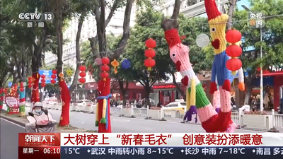 央视关注福州：大树穿上“新春毛衣” 创意装扮添暖意
