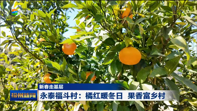 新春走基层 永泰福斗村：橘红暖冬日 果香富乡村