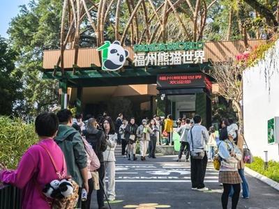 福州熊猫世界公告：2月6日起，须携带身份证原件刷证入园