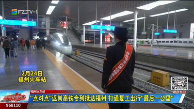 “点对点”返岗高铁专列抵达福州 打通复工出行“最后一公里”