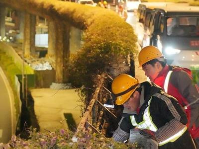 国货互通9300个花箱升级