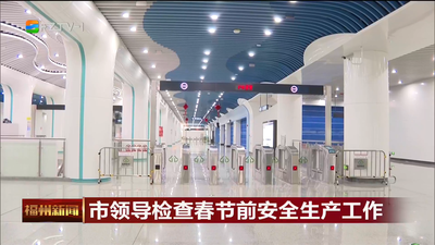 市领导检查春节前安全生产工作