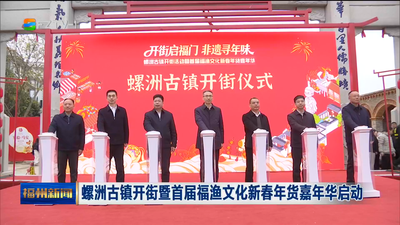 螺洲古镇开街暨首届福渔文化新春年货嘉年华启动