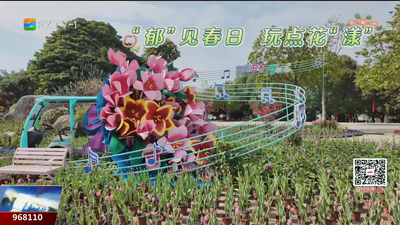 春节“赏花打卡点”已就位！11万株郁金香即将进入盛花期 