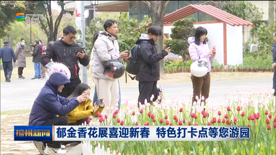 郁金香花展喜迎新春 特色打卡点等您游园