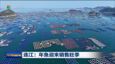 连江：年鱼迎来销售旺季