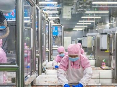 中印尼“两国双园”一片繁忙赶订单忙生产 水产年货“走出去”