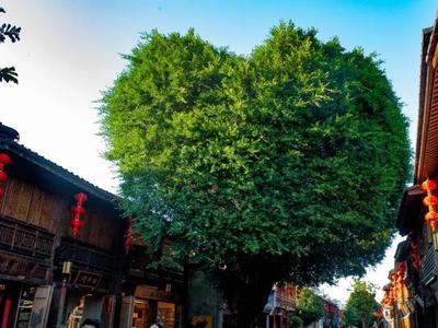 央视关注：泉州 福州 厦门等成假期热门旅游城市