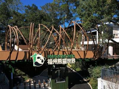 福州熊猫世界除夕当天闭园