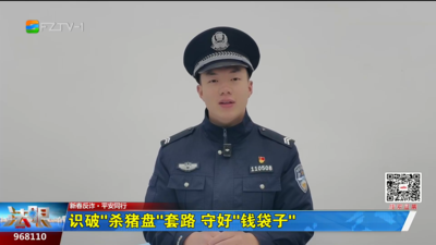 新春反诈·平安同行：识破“杀猪盘”套路 守好“钱袋子”