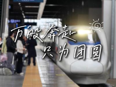 万般奔赴 只为团圆