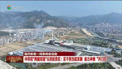 福州新春一线奏响奋进曲 中印尼“两国双园”元洪投资区：实干担当促发展 奋力冲刺“开门红”