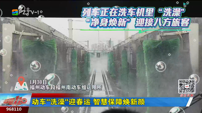 动车“洗澡”迎春运 智慧保障焕新颜