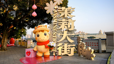 岁起福台启新章 江江有礼纳福来| 台江区新春文旅月非遗主题活动启幕