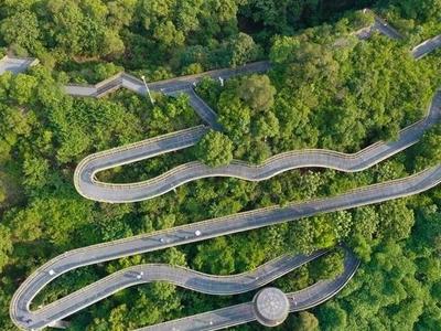 ​福州推出32个春季义务植树点