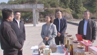 郭宁宁在永泰调研时强调 发挥生态优势 发展特色产业 办好民生实事 努力打造乡村振兴示范样板