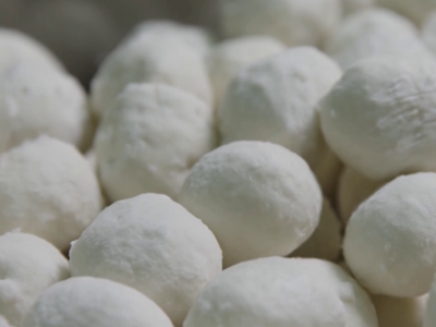 宁夏土豆“牵手”福州海鱼 鱼丸里的“闽宁情”