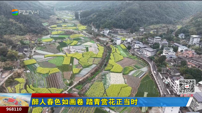 醉人春色如画卷 踏青赏花正当时