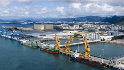 玉融春满逐潮涌——福建福清以营商环境“软实力”铸就园区经济“硬脊梁”