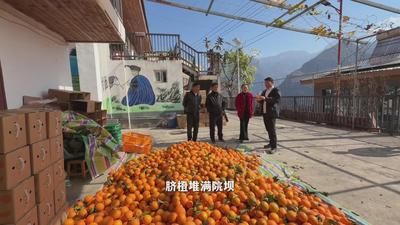 记者帮张罗 阿布洛哈村首场直播“秀”了啥？