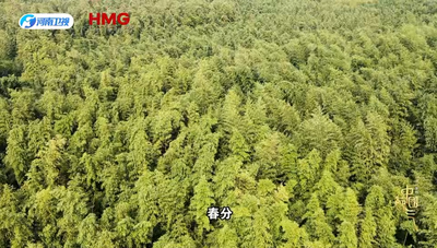 中国节气——春分，万物自洽，“豫”见刚好！